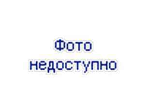диета на луковом супе